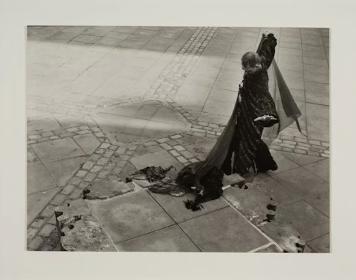 UNTITLED (from I DANCED WITH A PENGUIN), b/w photograph, 1983, 17.5 x 23.8 cm